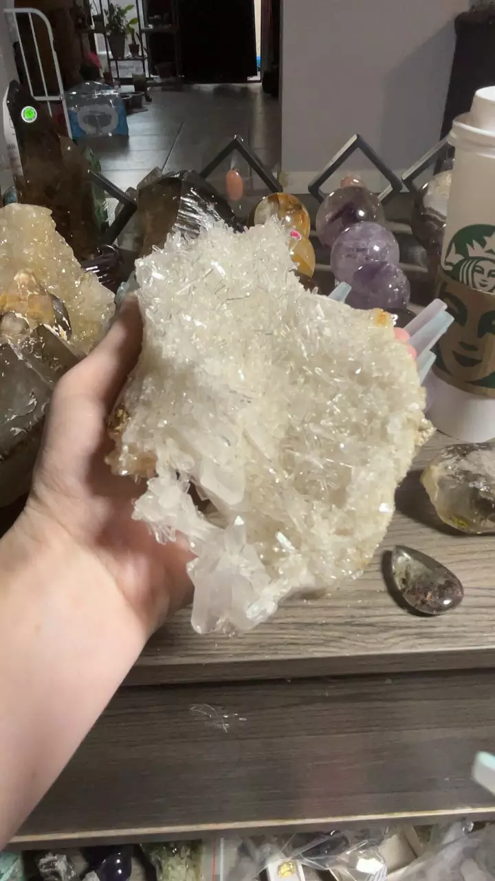 plant/needle quartz-0