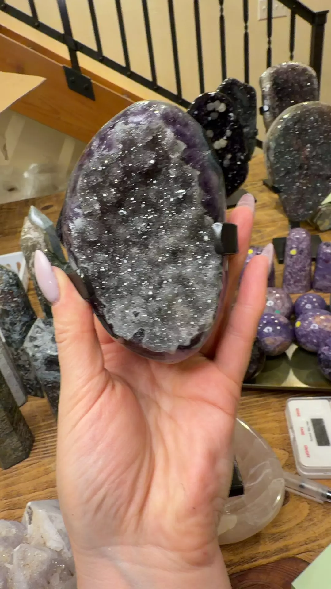 plant/Uruguay amethyst-0