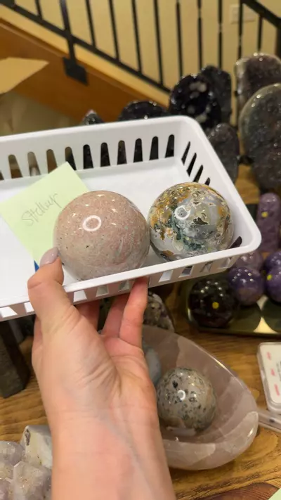 plant/Shelley-0-thumbnail