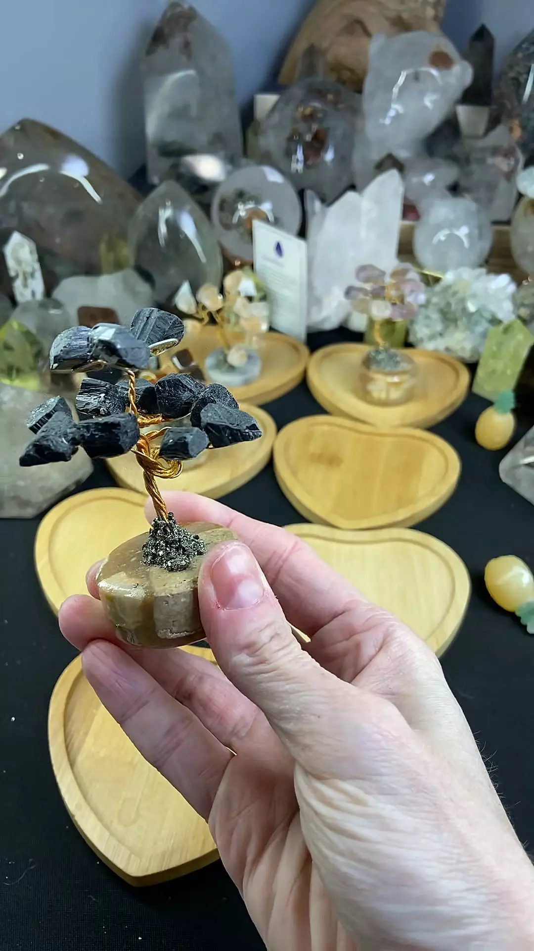 plant/Black Tourmaline Tree-0
