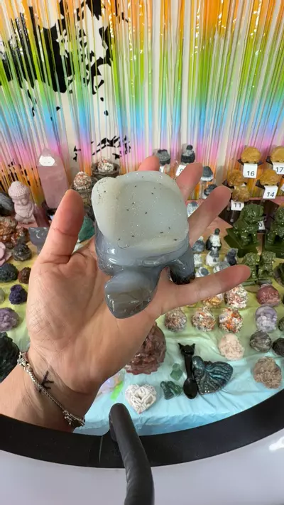 plant/applying your game credit $30-0-thumbnail