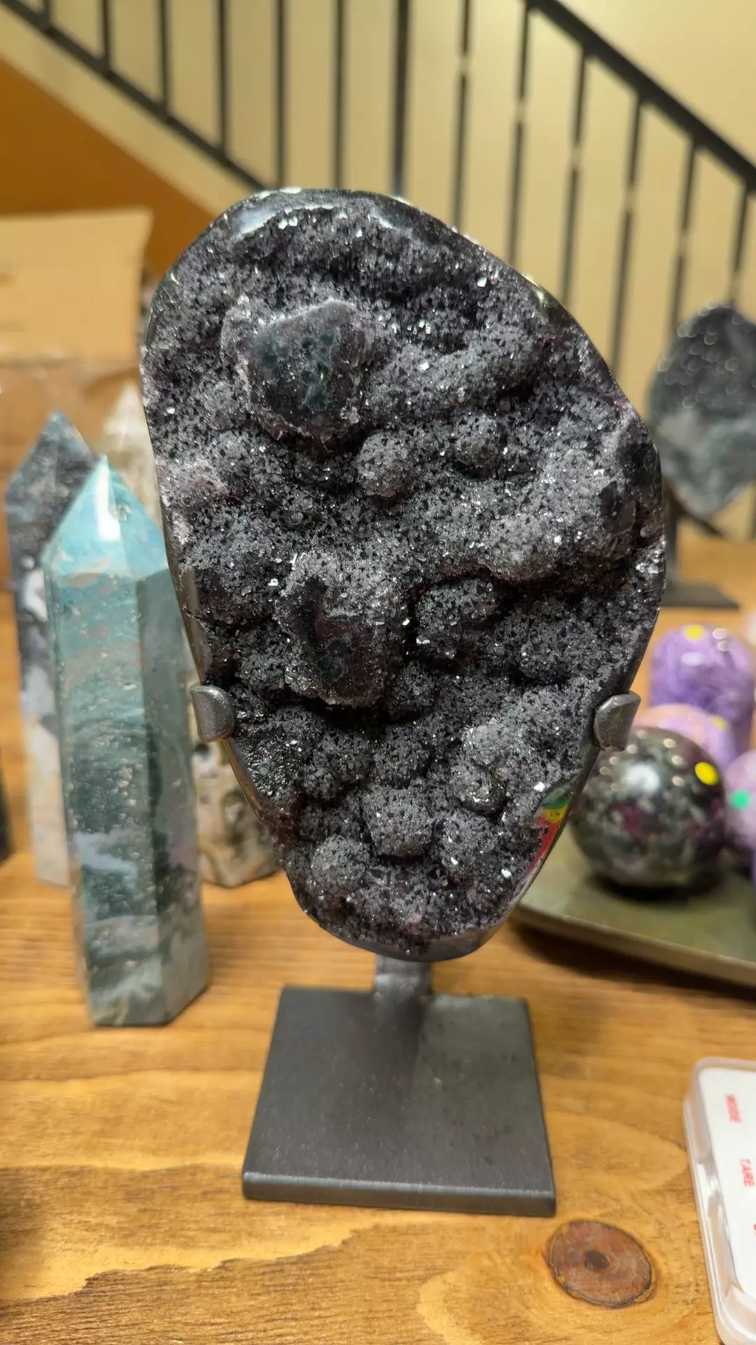 plant/black amethyst-0