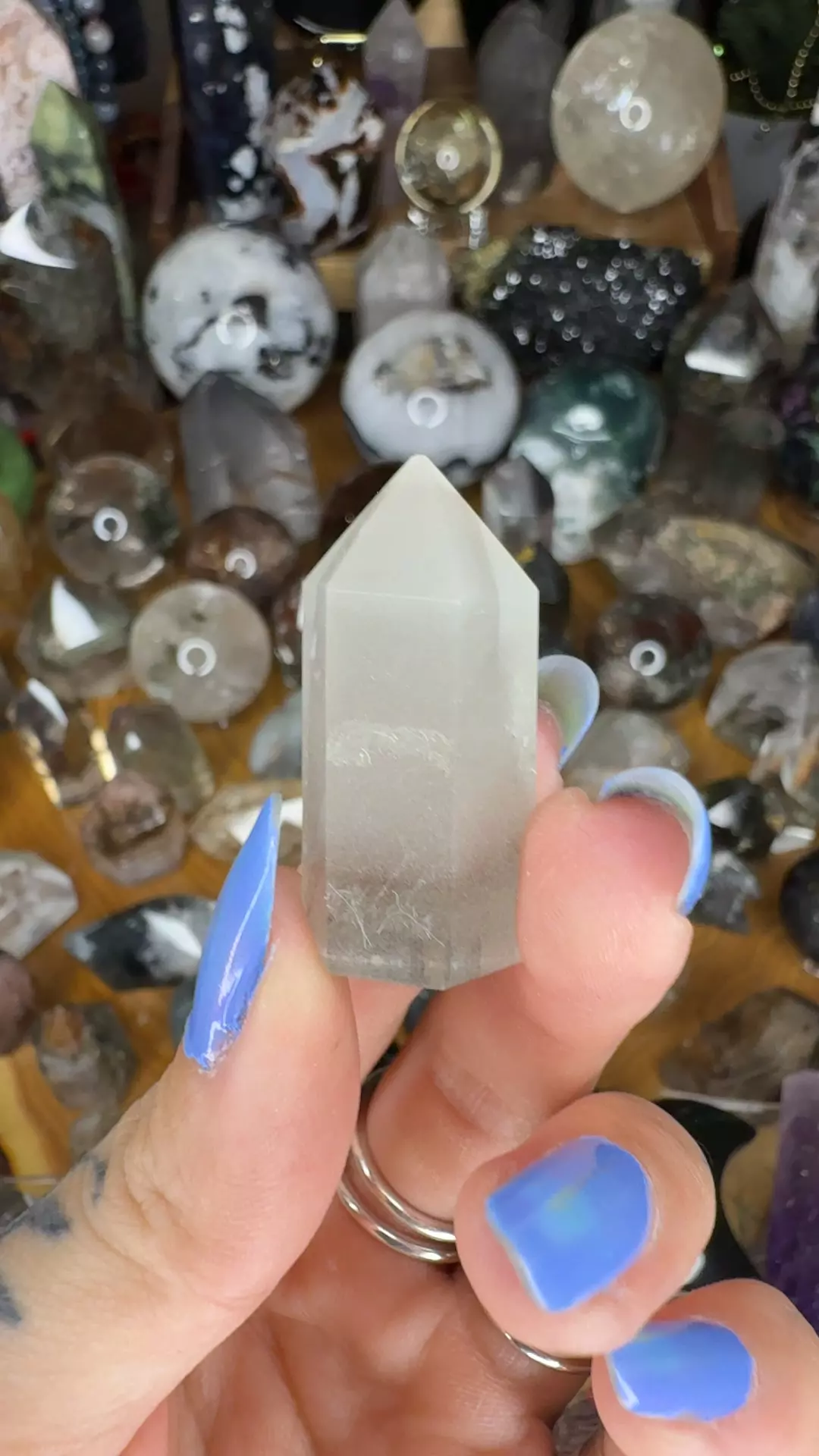 plant/Gray phantom-0