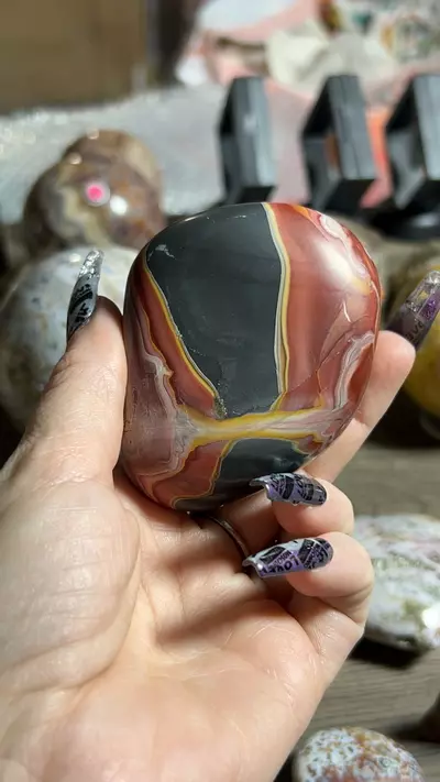plant/rainbow jasper-0-thumbnail