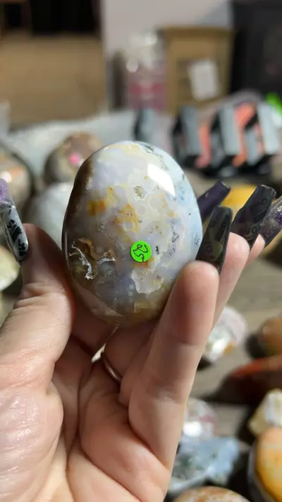 plant/OJ Palm-0-thumbnail