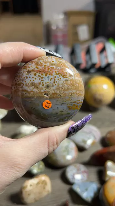 plant/OJ Palm-0-thumbnail