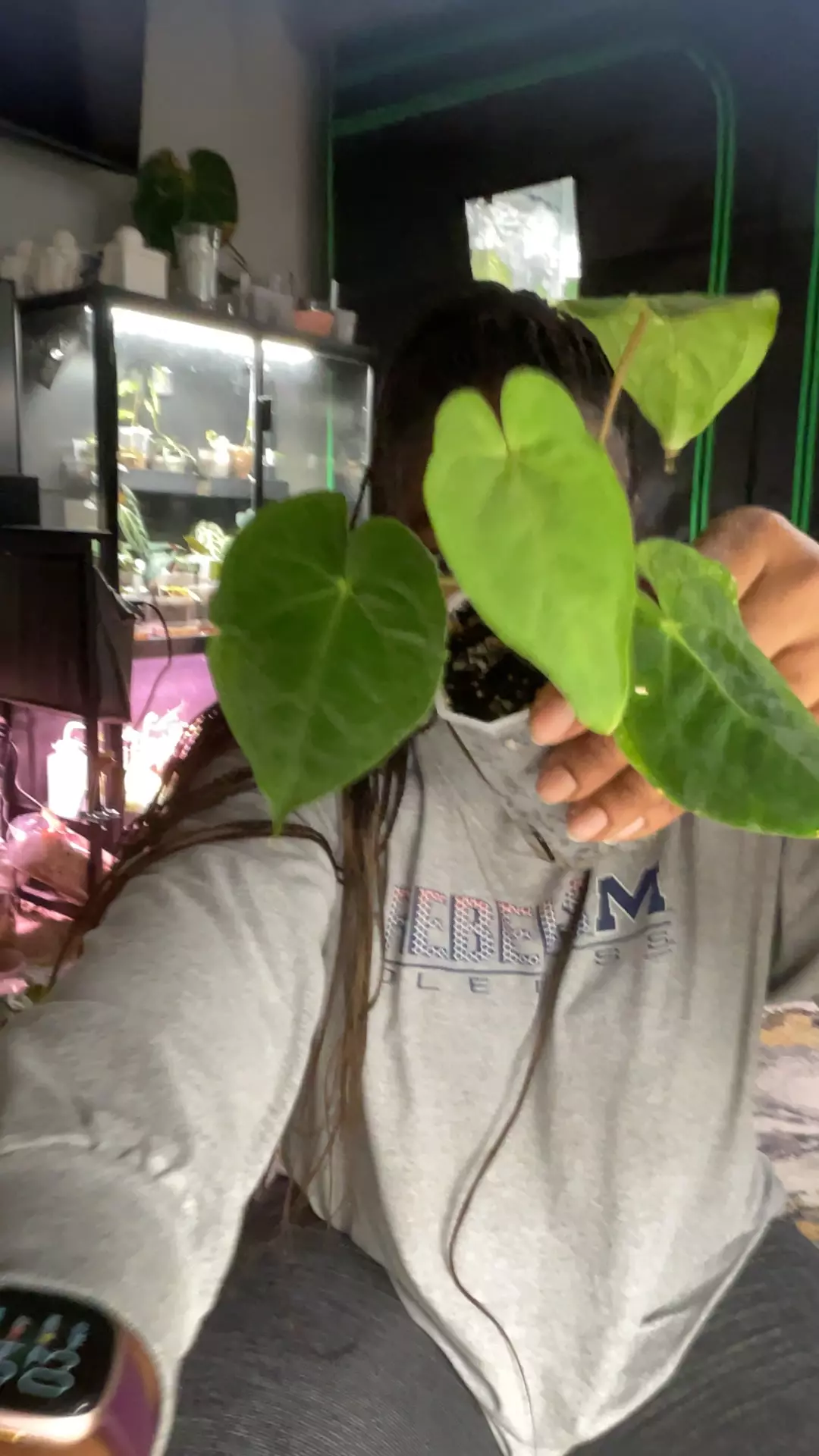 plant/black pap x NSE port-0