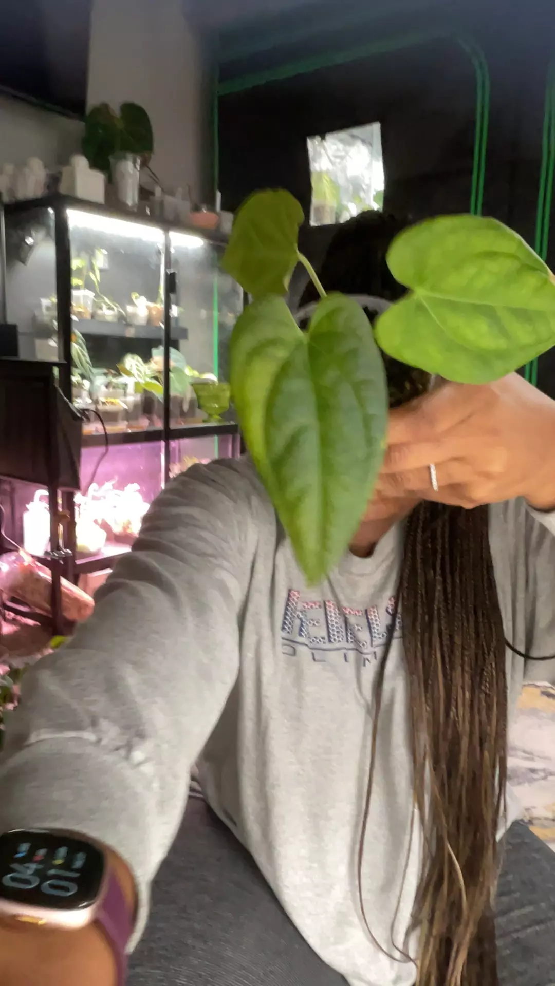 plant/Crystal x Bess lux-0