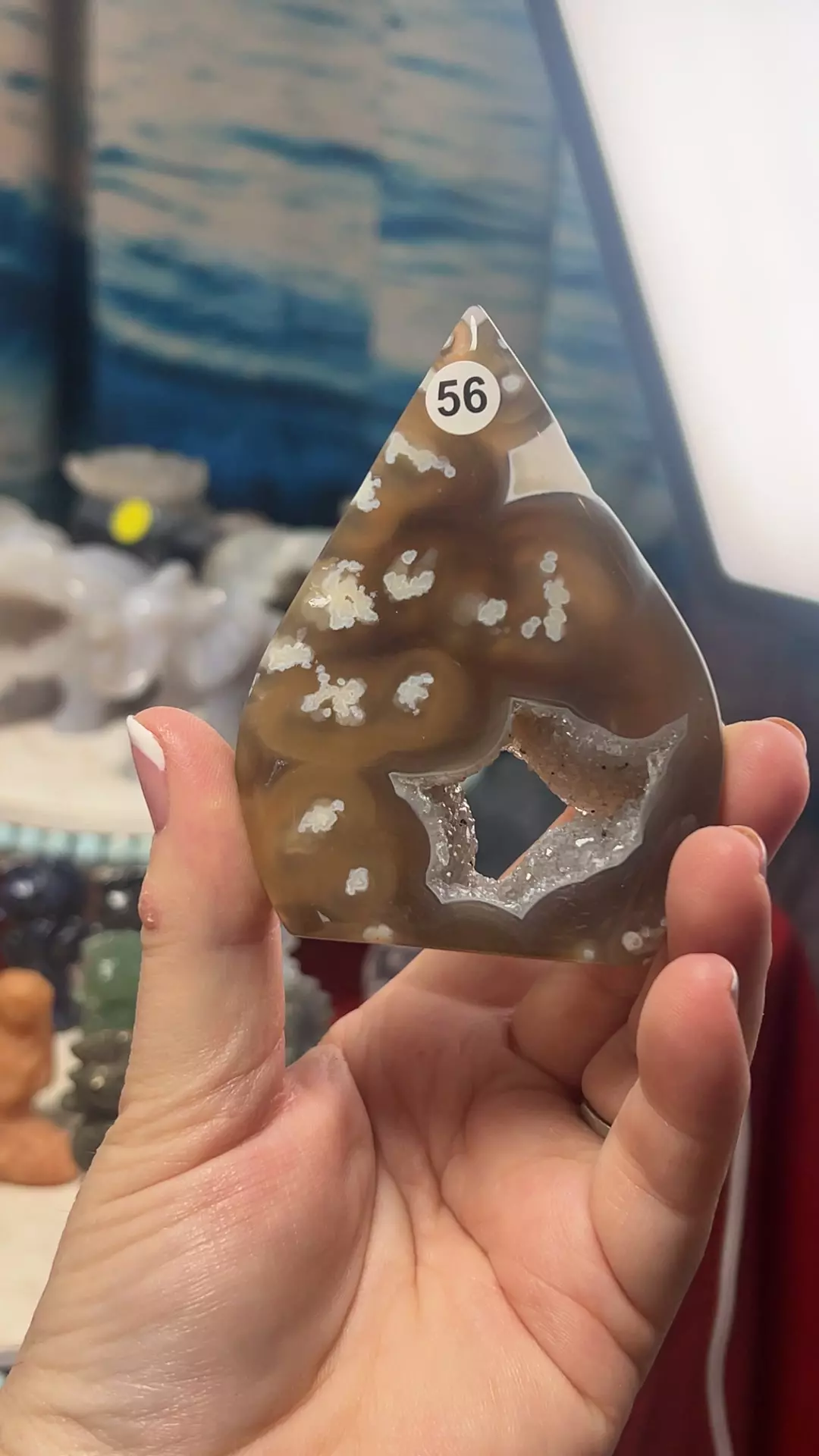 plant/$15| Druzy Agate Flame 56-0