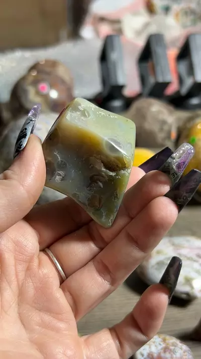 plant/OJ Tumble-0-thumbnail