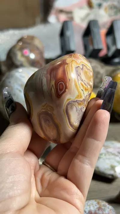 plant/rainbow jasper-0-thumbnail