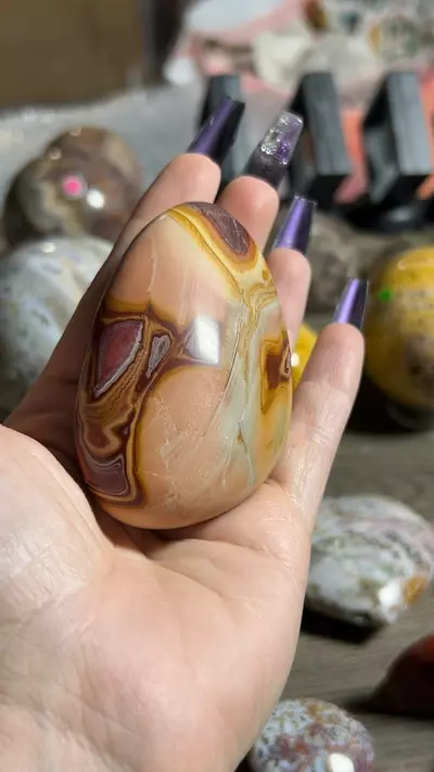 plant/rainbow jasper-0-thumbnail