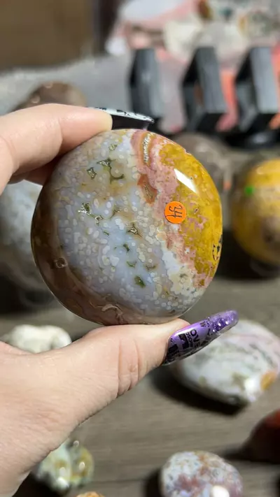 plant/OJ Palm-0-thumbnail