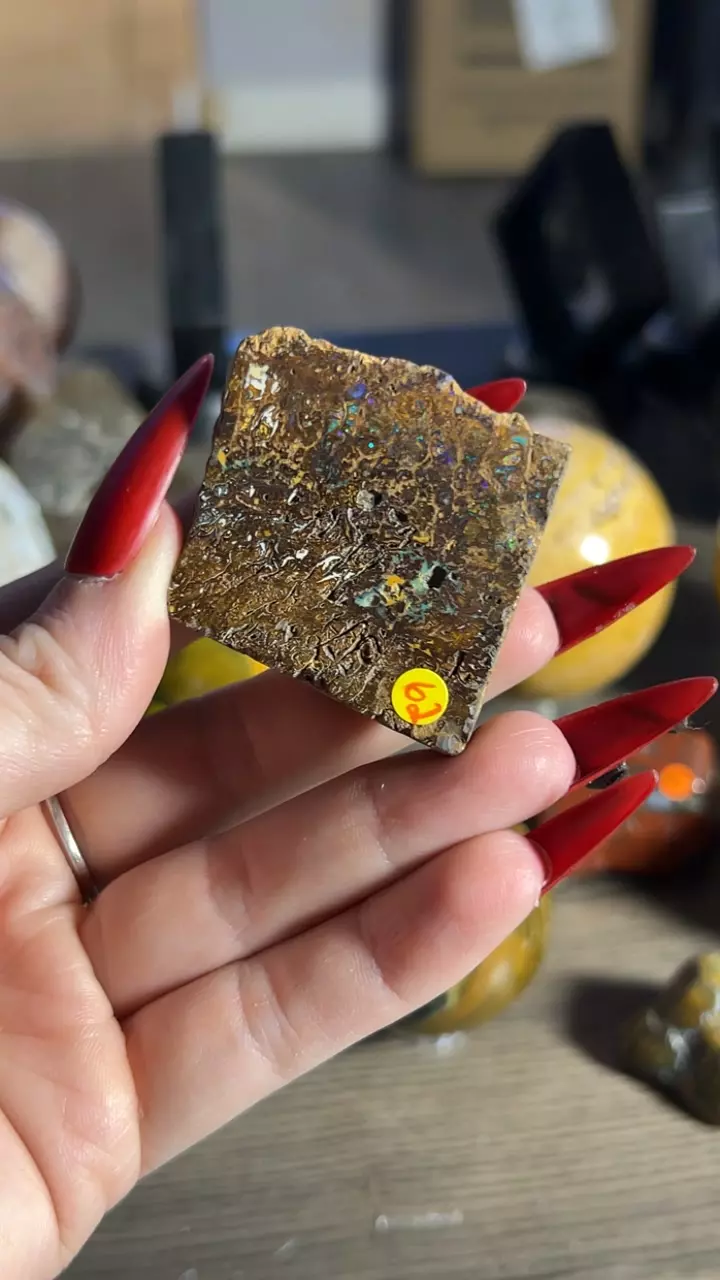 plant/Boulder opal-0