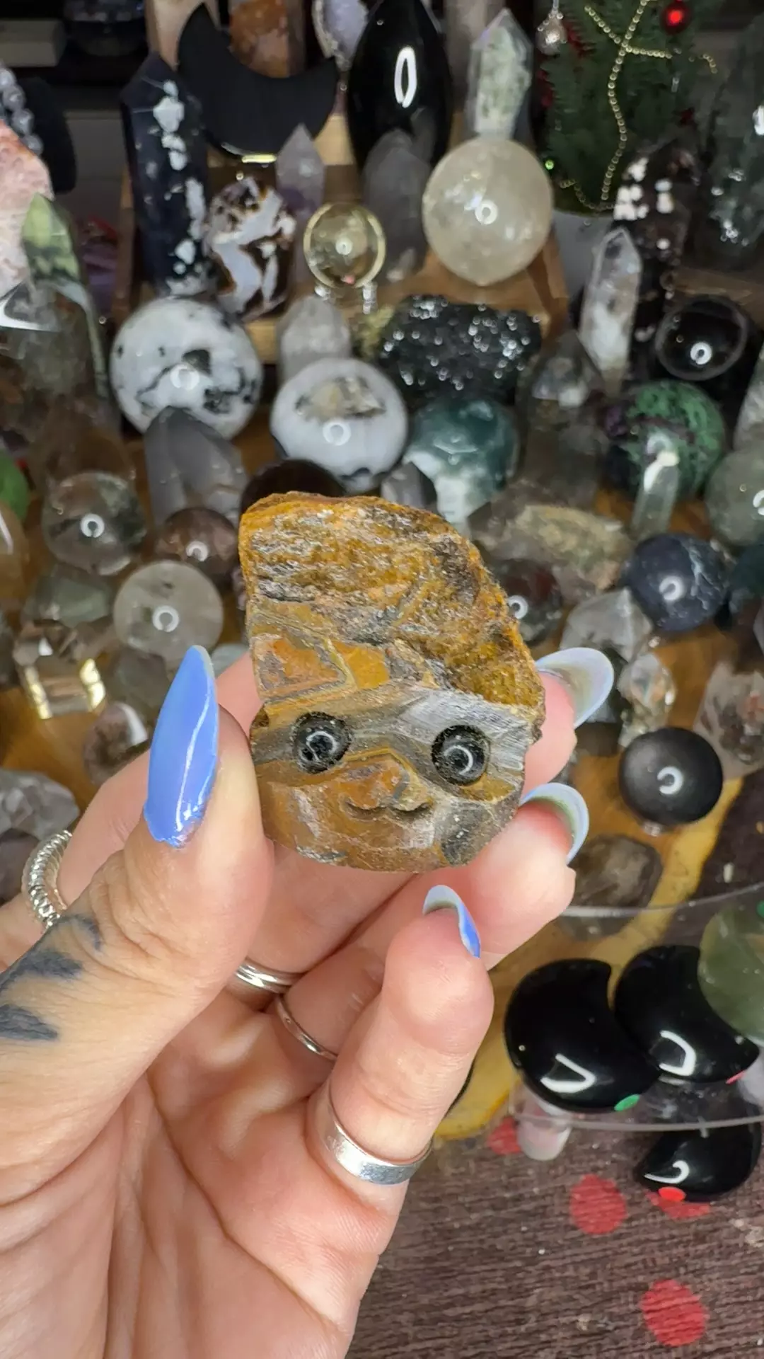 plant/Bengal the buddy-0