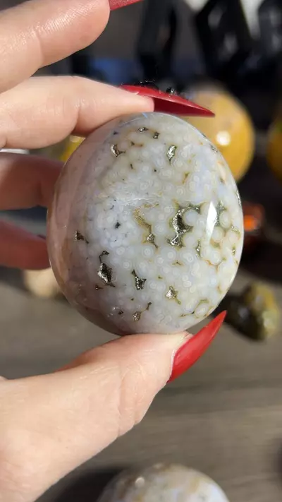 plant/OJ Palm-0-thumbnail