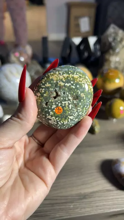 plant/OJ Palm-0-thumbnail