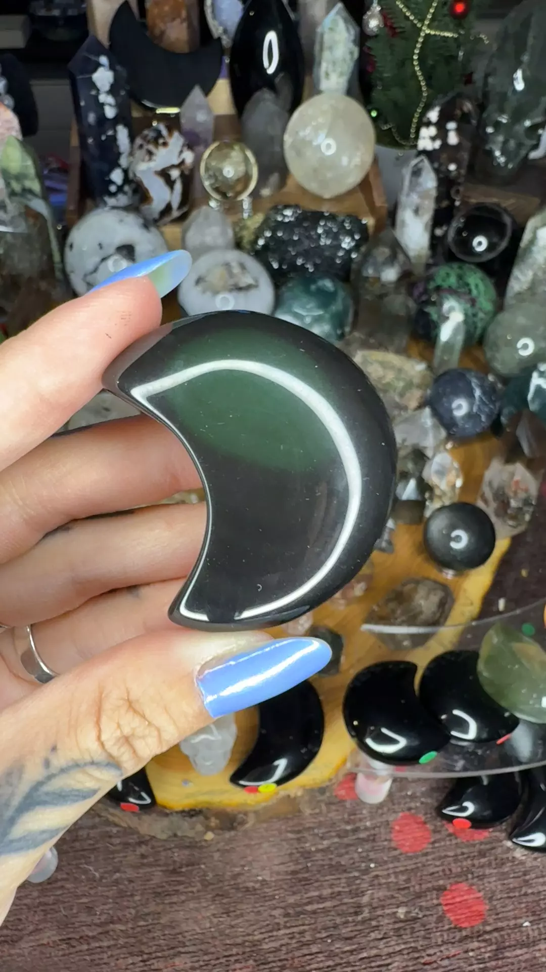 plant/Rainbow obsidian moon 14x-0