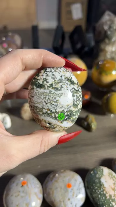 plant/OJ Palm-0-thumbnail