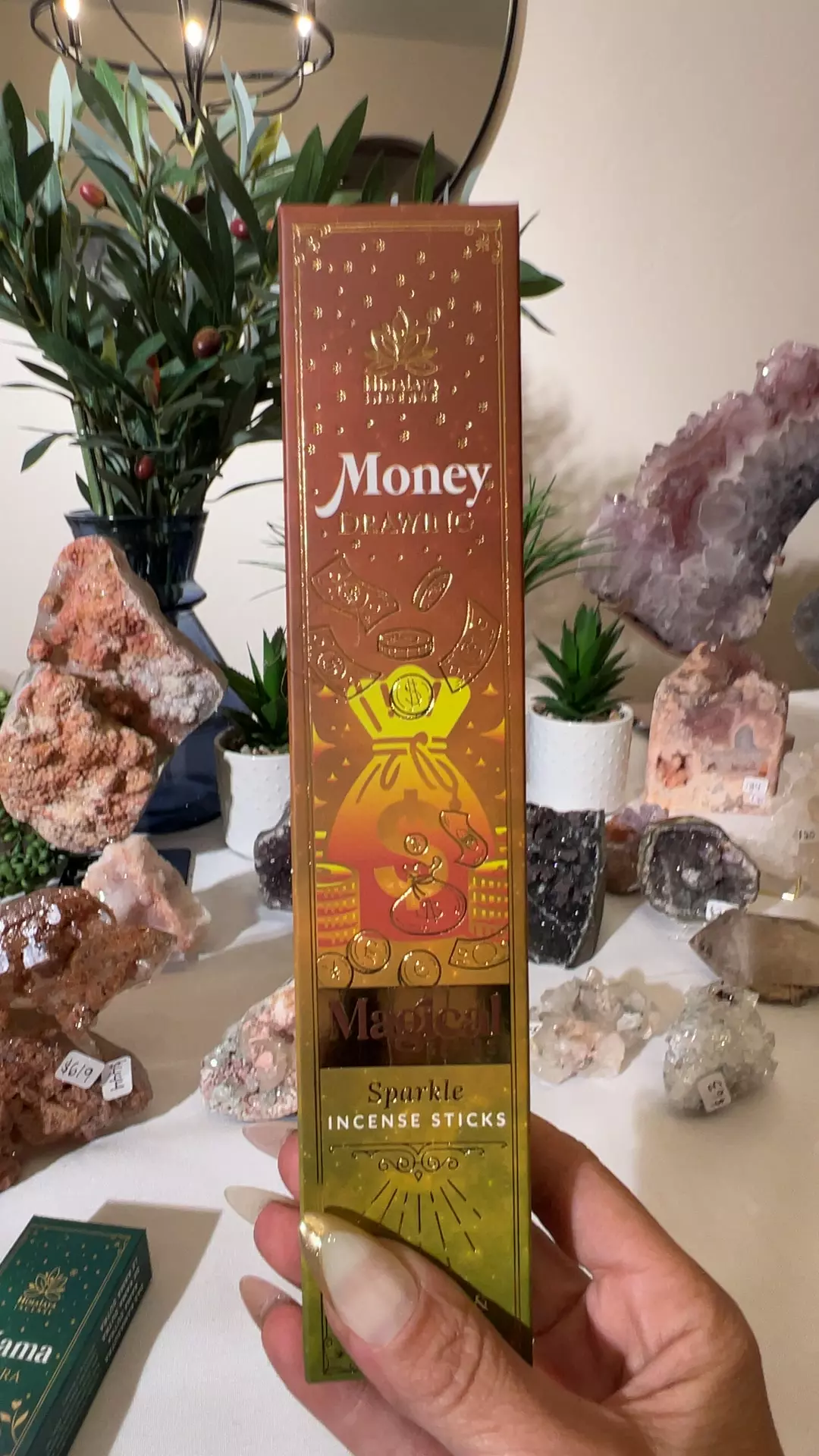 plant/TUS - Money Drawing Incense - Cinnamon & Lemongrass-0