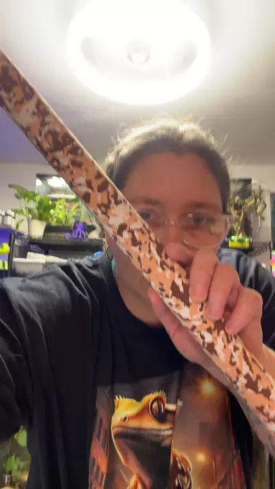 plant/cut to fit 18” foam-0-thumbnail