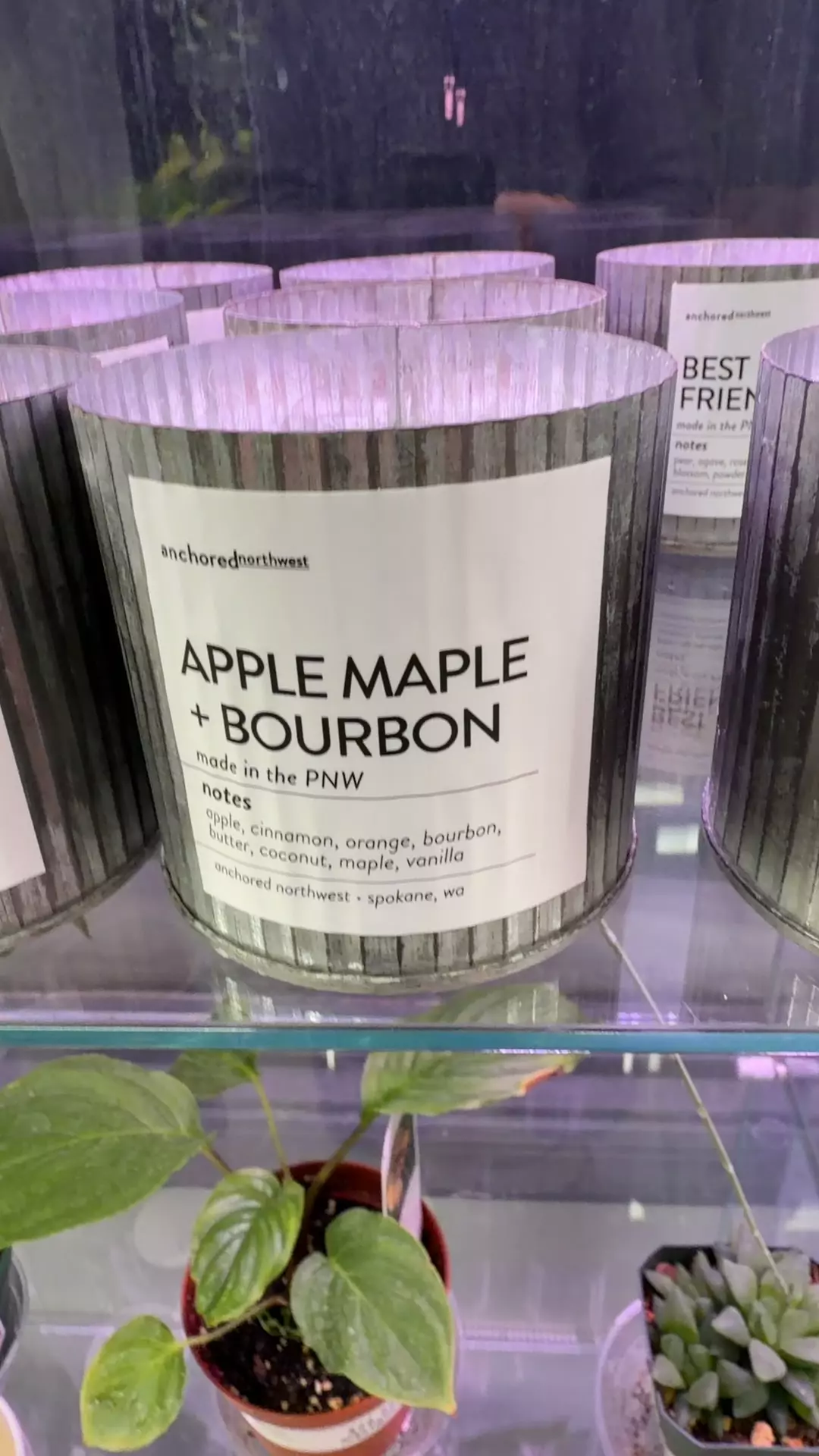 plant/Apple maple and bourbon candle-0