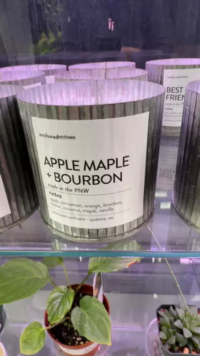 plant/Apple maple and bourbon candle-0-thumbnail