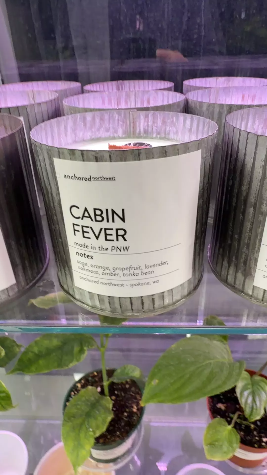 plant/Cabin Fever candle-0