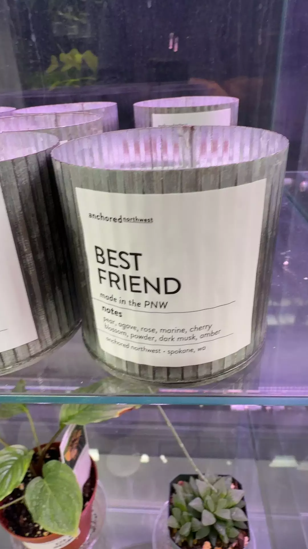 plant/Best friend candle-0