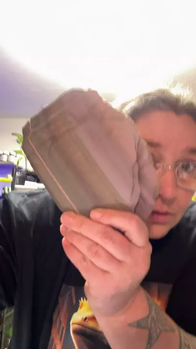 plant/rock ledge-0-thumbnail