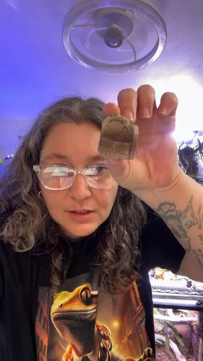 plant/magnetic tiny well-0-thumbnail