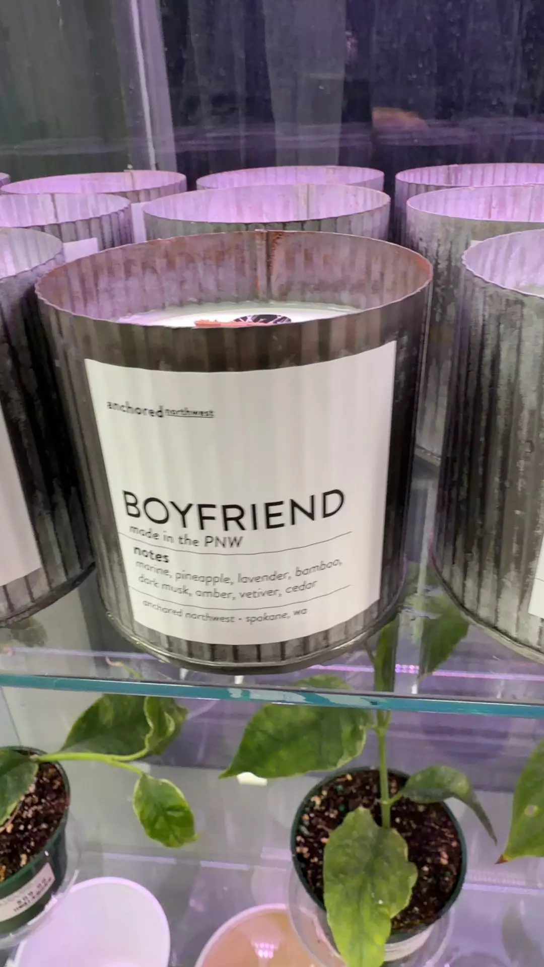 plant/Boyfriend Candle-0