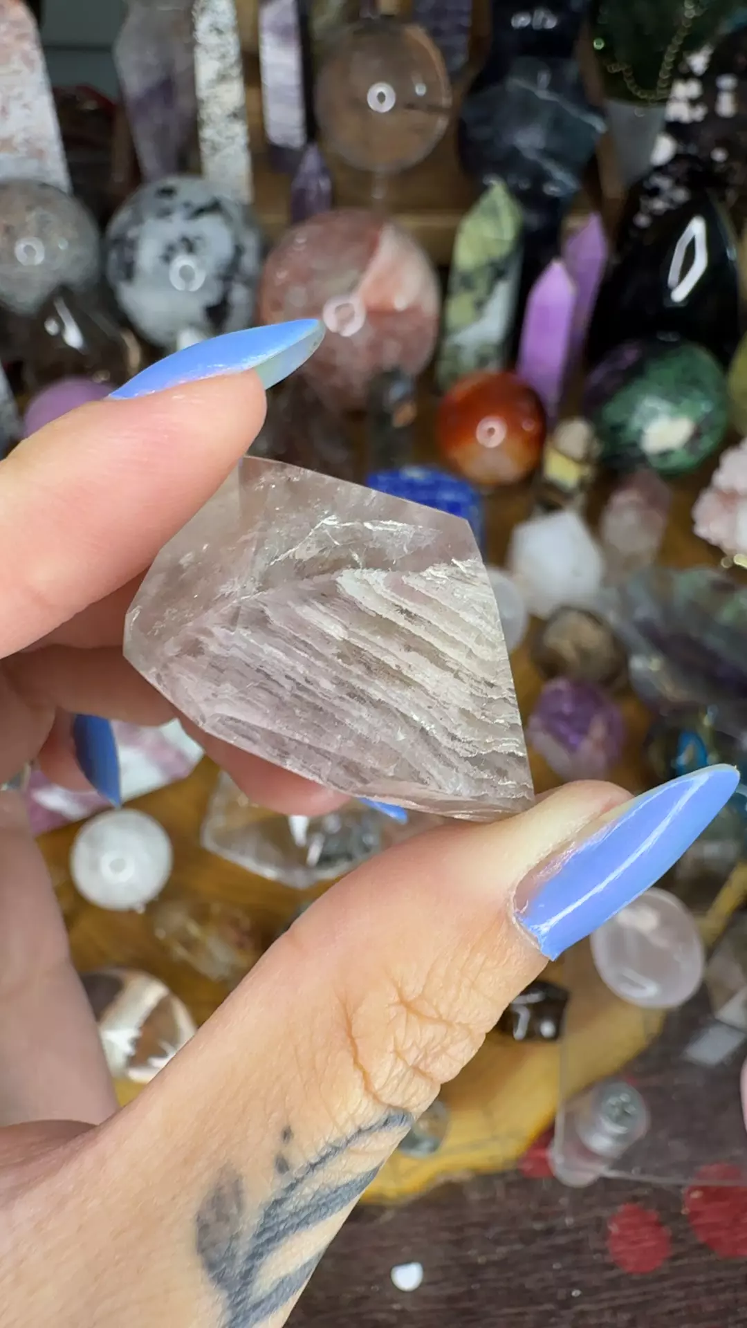 plant/Pink lithium garden freeform 52i-0