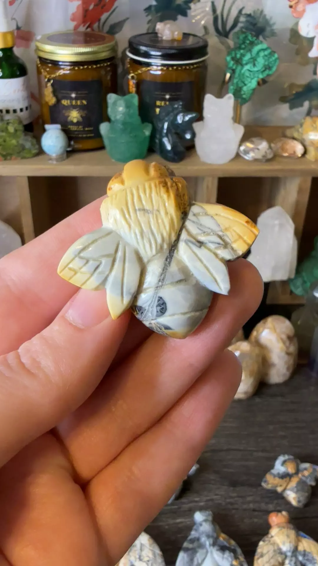 plant/$18 | Maligano Jasp Bee 18D-0