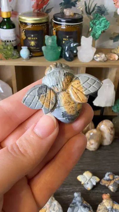 plant/$18 | Maligano Jasp Bee 18C-0-thumbnail