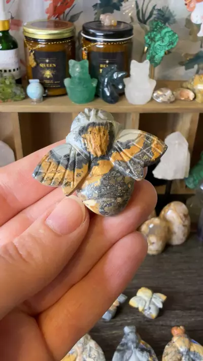 plant/$18 | Maligano Jasp Bee 18E-0-thumbnail