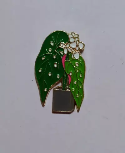 plant/Begonia Maculata Metal Enamel Pin-0-thumbnail