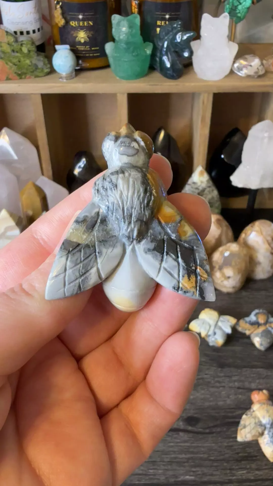 plant/$24 | Maligano Jasp Bee 24C-0