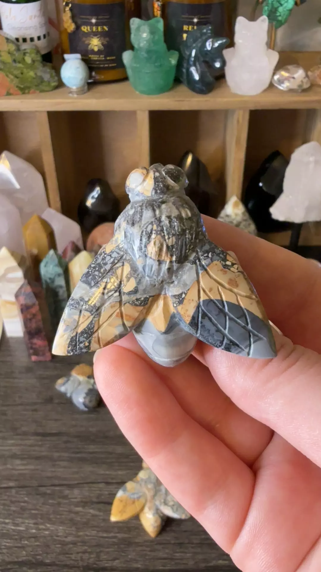 plant/$24 | Maligano Jasp Bee 24A-0