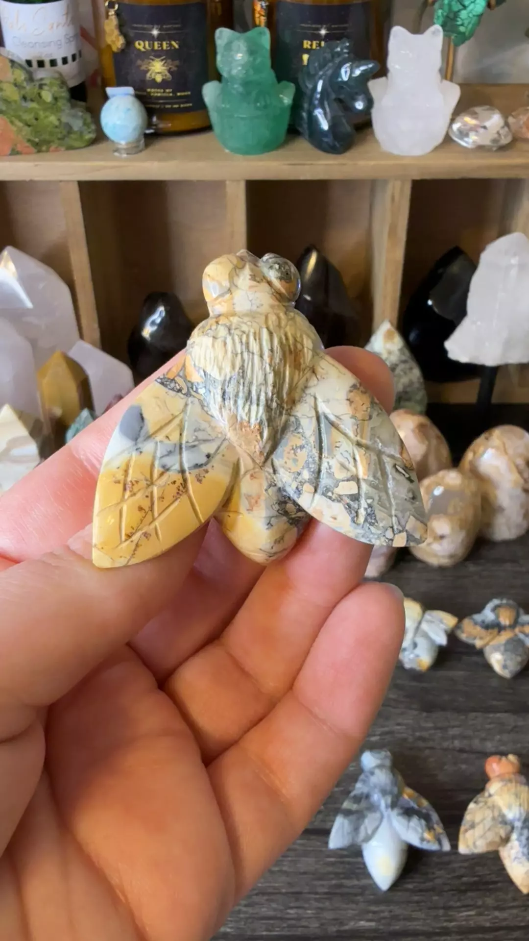 plant/$24 | Maligano Jasp Bee 24B-0