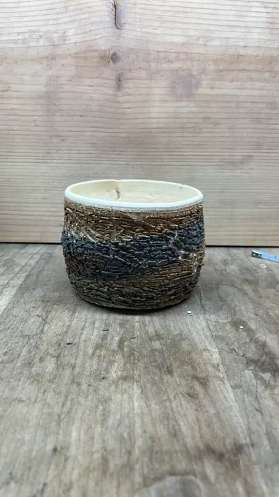 plant/P00887-1-thumbnail