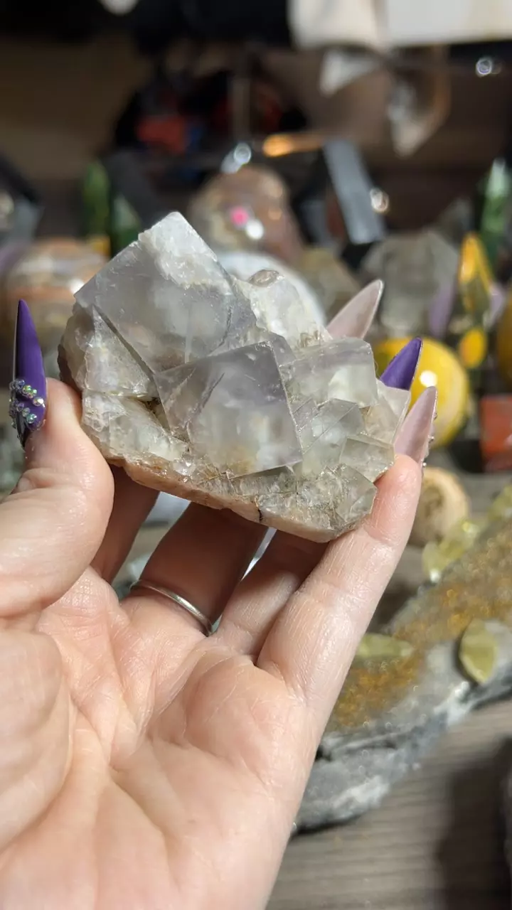 plant/UK Fluorite-0