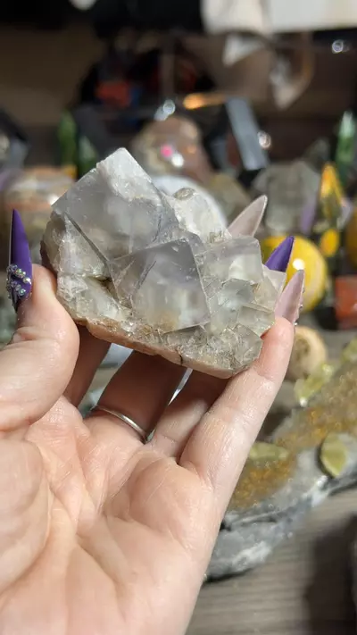 plant/UK Fluorite-0-thumbnail