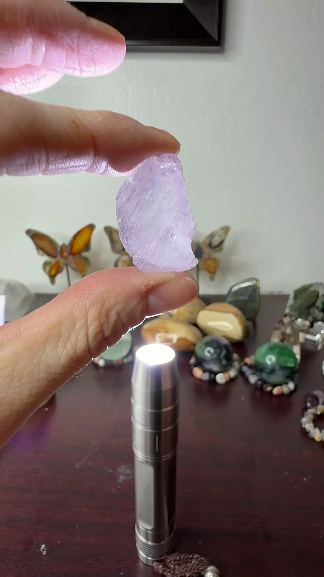 plant/HQ Kunzite 9-0