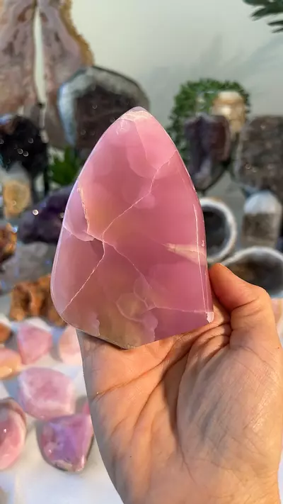 plant/TUCSON - Pink Aragonite $311-0-thumbnail