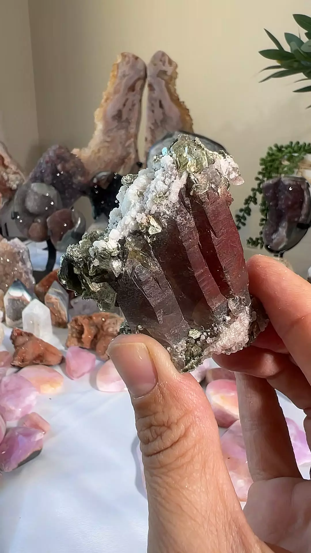 plant/TUCSON - Green Mica, Tourmaline, and Hematite Quartz-0