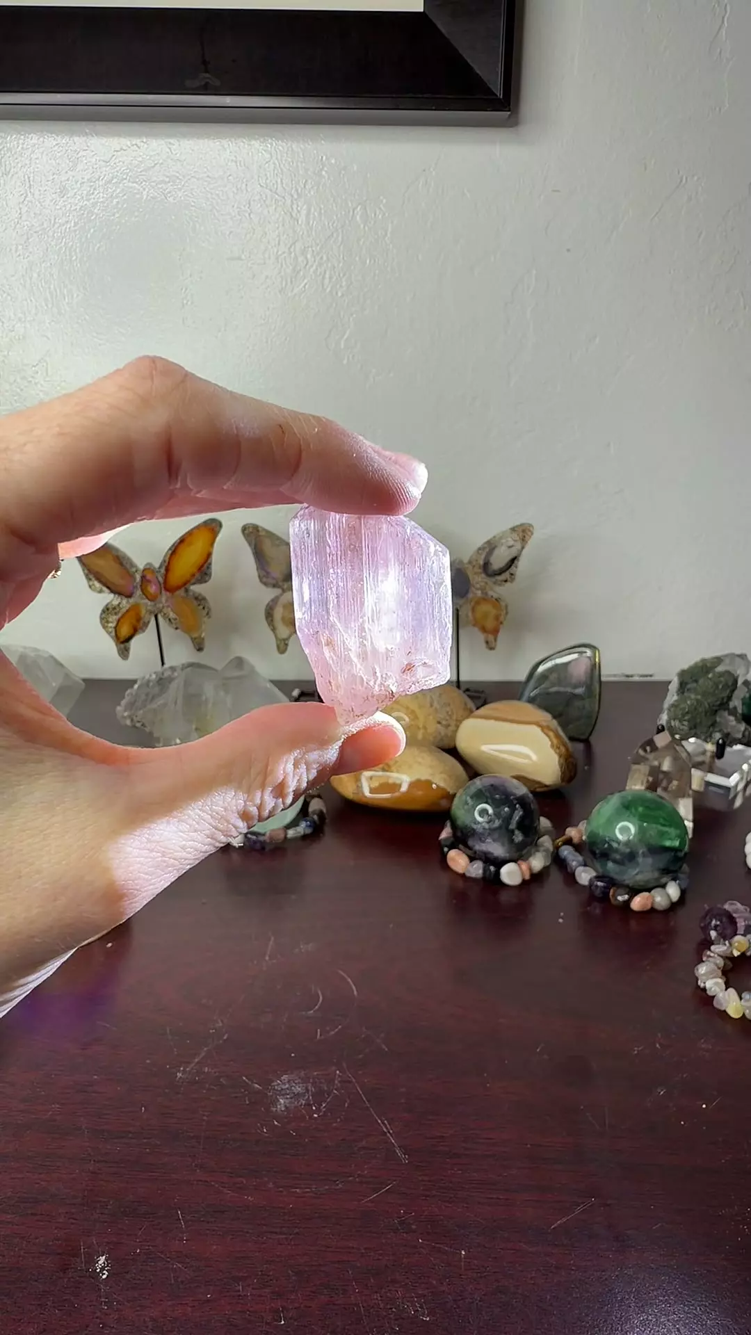 plant/HQ Kunzite 2-0