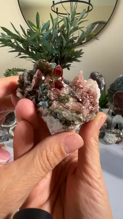 plant/TUCSON - Green Mica, Tourmaline, and Hematite Quartz-0-thumbnail