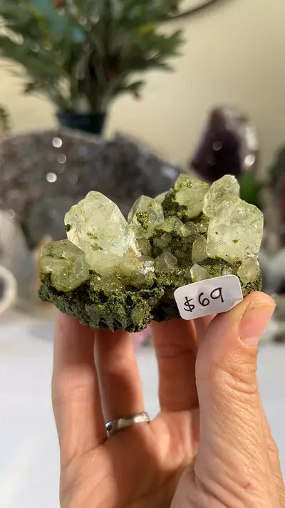 plant/TUCSON - Epidote and Quartz, Turkey-0-thumbnail