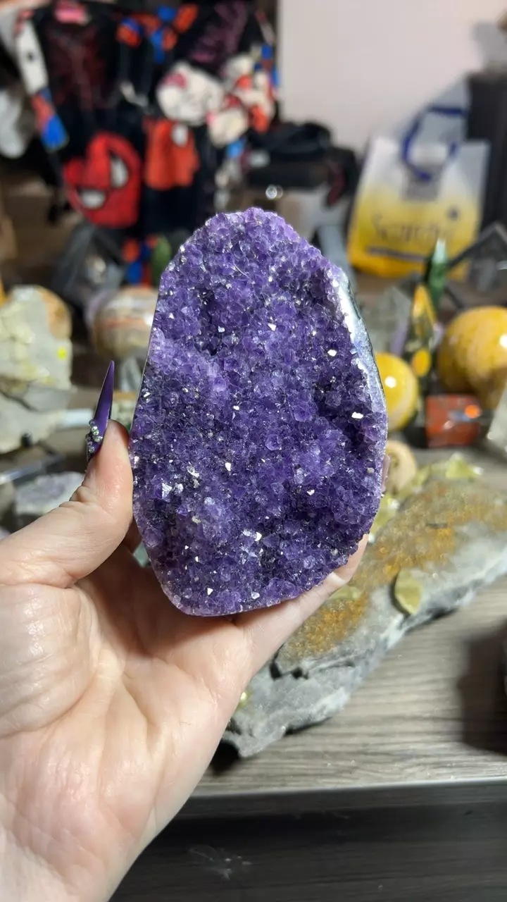 plant/Amethyst Cut-base “Dish” from Uruguay-0